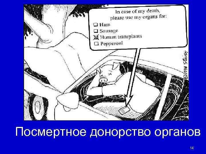 Посмертное донорство органов      14 