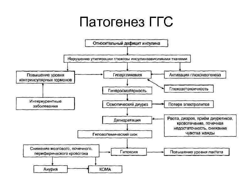 Патогенез ГГС 