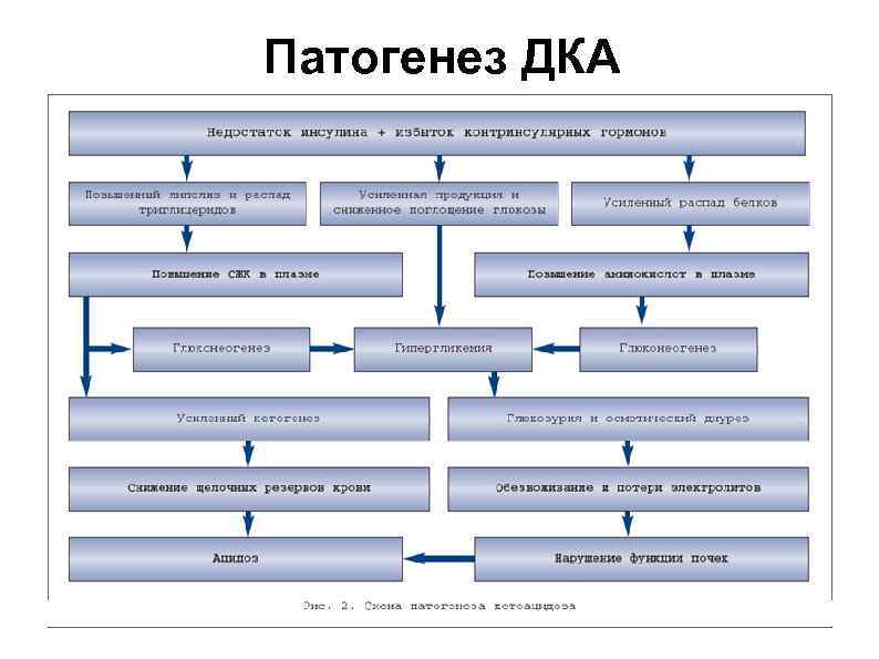 Патогенез ДКА 