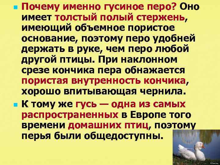 n n Почему именно гусиное перо? Оно имеет толстый полый стержень, имеющий объемное пористое