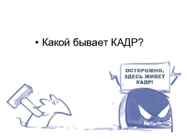  • Какой бывает КАДР? 
