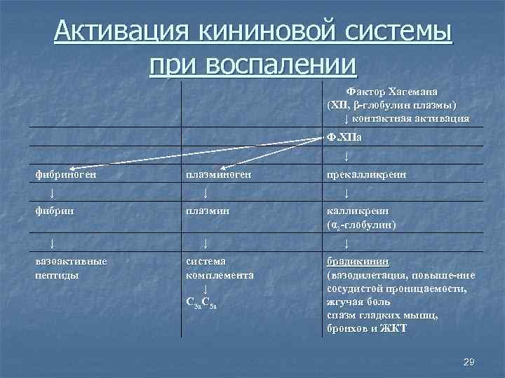   Активация кининовой системы  при воспалении      Фактор