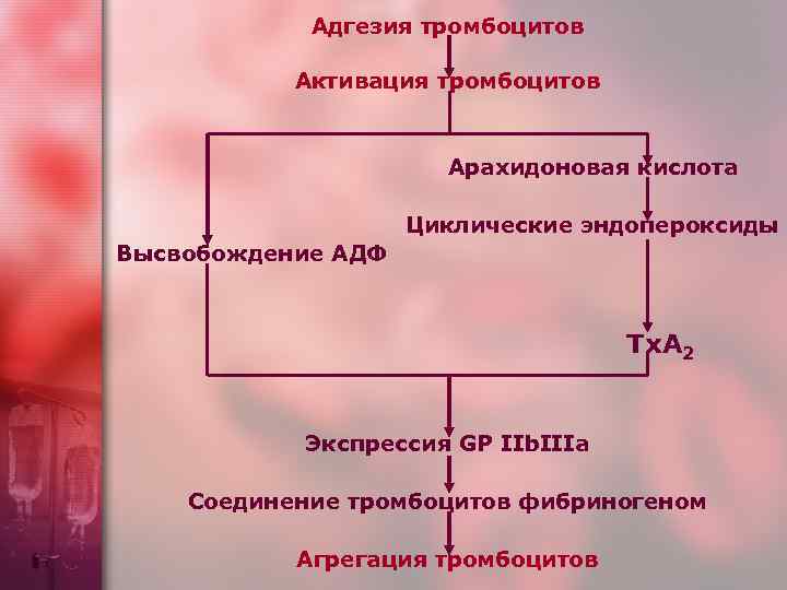 Адгезия тромбоцитов Активация тромбоцитов Арахидоновая кислота Циклические эндопероксиды Высвобождение АДФ Тх. А 2 Экспрессия