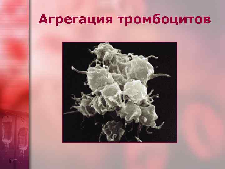 Агрегация тромбоцитов 