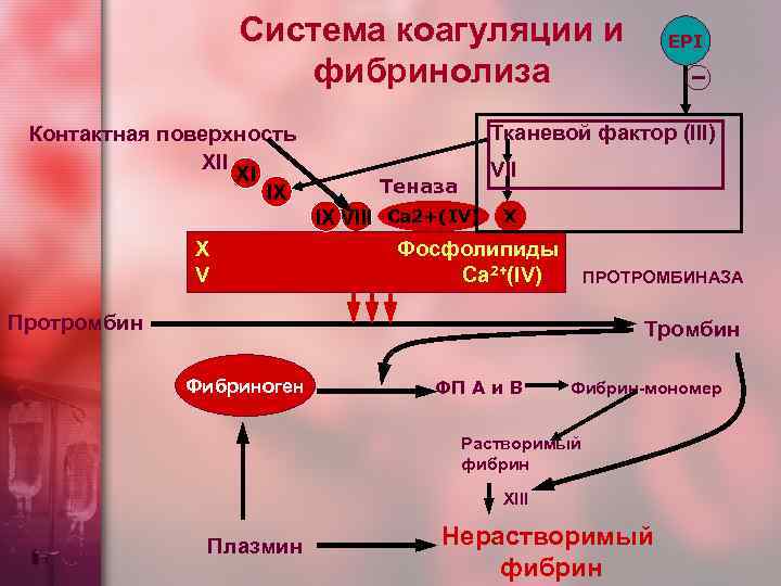 Схема коагуляции гемостаза