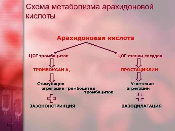 Каскад арахидоновой кислоты схема