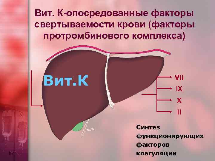 Вит. К-опосредованные факторы свертываемости крови (факторы протромбинового комплекса) Вит. К VII IX X II