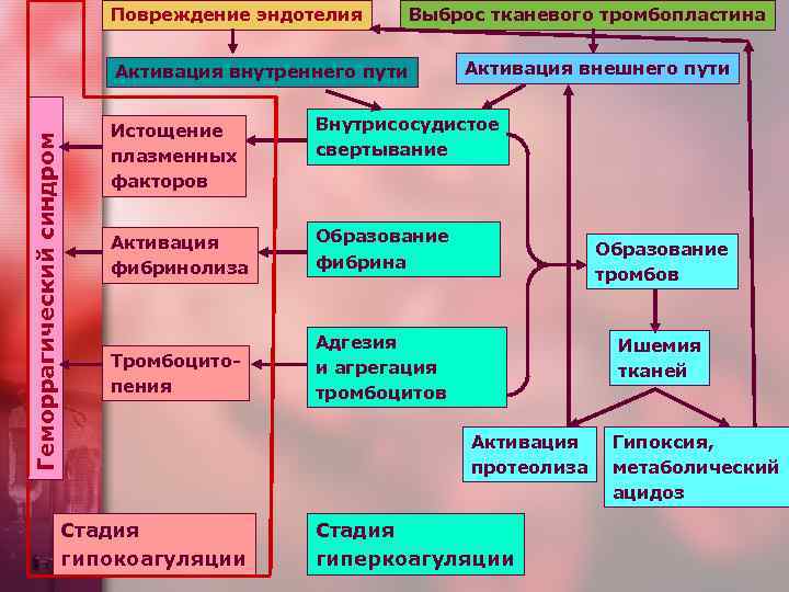 Повреждение эндотелия Выброс тканевого тромбопластина Геморрагический синдром Активация внутреннего пути Активация внешнего пути Истощение
