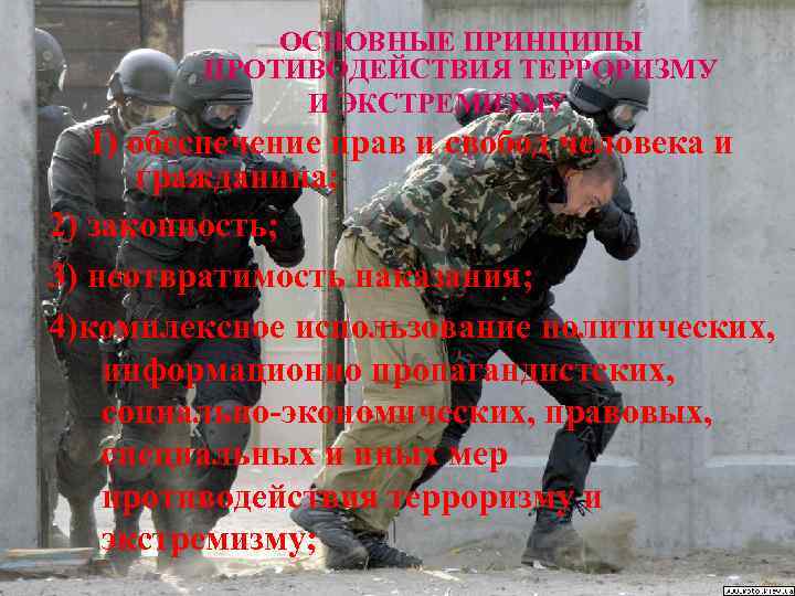    ОСНОВНЫЕ ПРИНЦИПЫ  ПРОТИВОДЕЙСТВИЯ ТЕРРОРИЗМУ    И ЭКСТРЕМИЗМУ 
