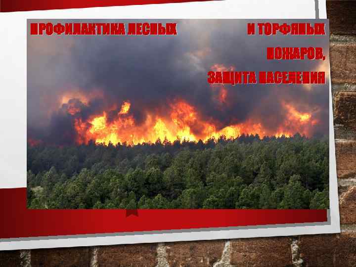 ПРОФИЛАКТИКА ЛЕСНЫХ  И ТОРФЯНЫХ     ПОЖАРОВ,    ЗАЩИТА