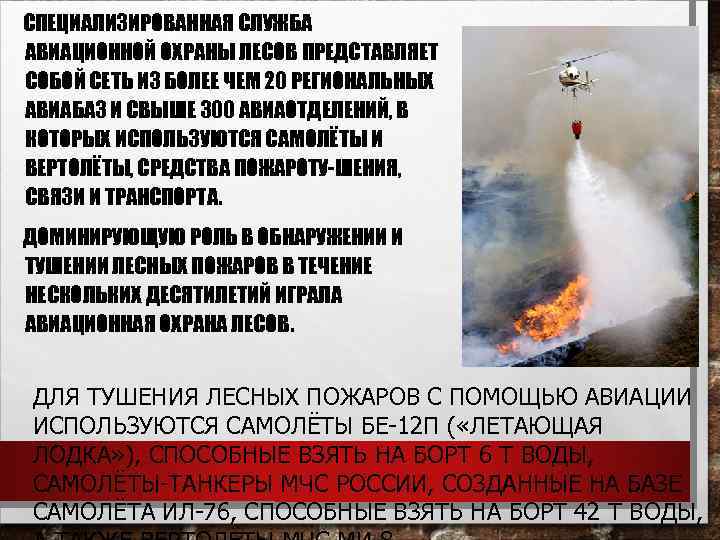 СПЕЦИАЛИЗИРОВАННАЯ СЛУЖБА АВИАЦИОННОЙ ОХРАНЫ ЛЕСОВ ПРЕДСТАВЛЯЕТ СОБОЙ СЕТЬ ИЗ БОЛЕЕ ЧЕМ 20 РЕГИОНАЛЬНЫХ АВИАБАЗ