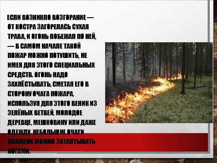ЕСЛИ ВОЗНИКЛО ВОЗГОРАНИЕ — ОТ КОСТРА ЗАГОРЕЛАСЬ СУХАЯ ТРАВА, И ОГОНЬ ПОБЕЖАЛ ПО НЕЙ,