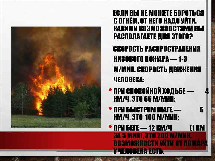   ЕСЛИ ВЫ НЕ МОЖЕТЕ БОРОТЬСЯ С ОГНЁМ, ОТ НЕГО НАДО УЙТИ. КАКИМИ
