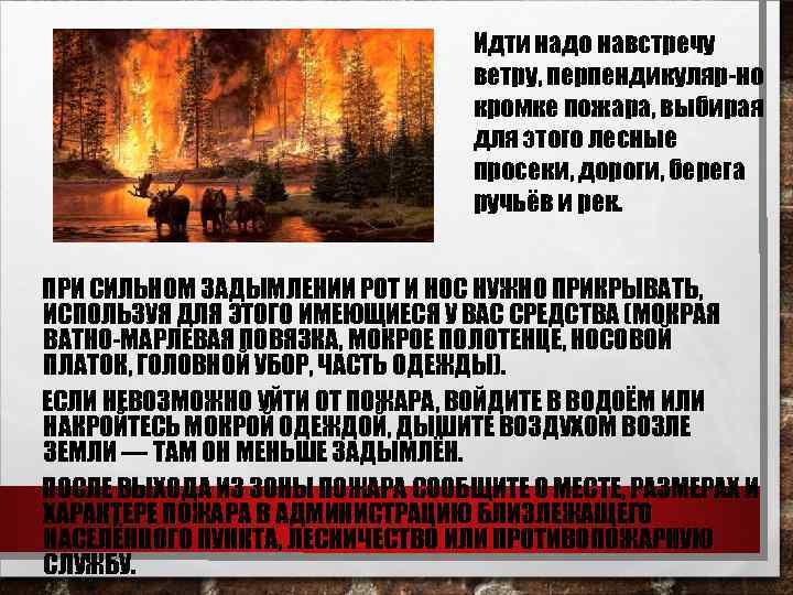        Идти надо навстречу    