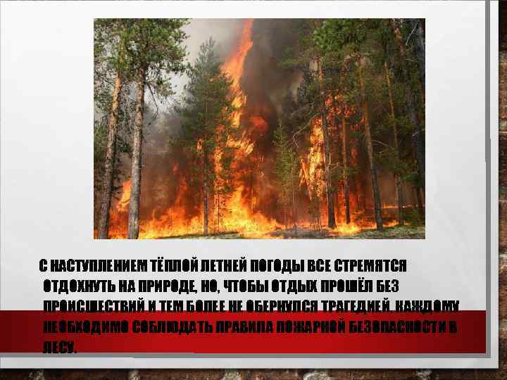 С НАСТУПЛЕНИЕМ ТЁПЛОЙ ЛЕТНЕЙ ПОГОДЫ ВСЕ СТРЕМЯТСЯ ОТДОХНУТЬ НА ПРИРОДЕ, НО, ЧТОБЫ ОТДЫХ ПРОШЁЛ