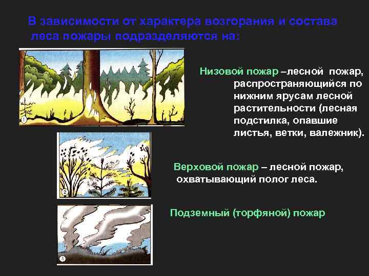 В зависимости от характера возгорания и состава леса пожары подразделяются на:   