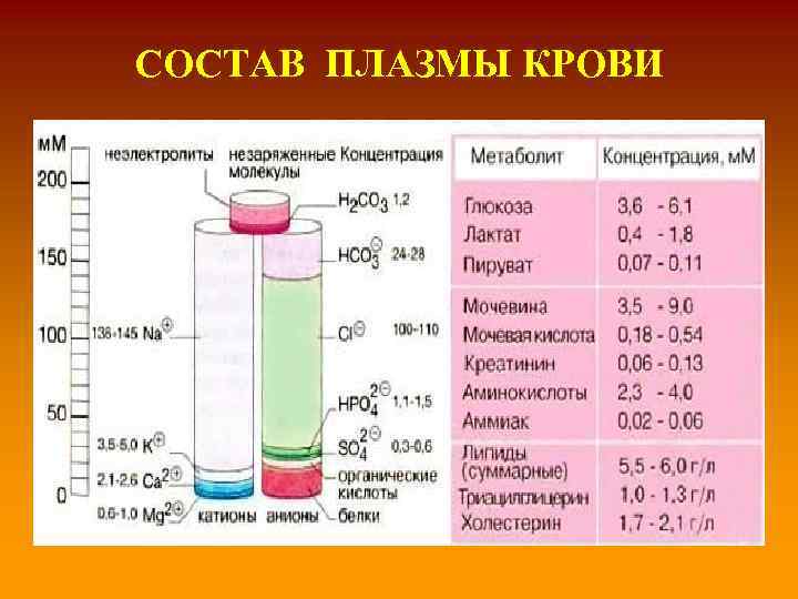 Биохимический состав плазмы крови