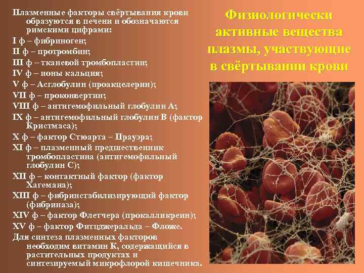 Плазменные факторы свёртывания крови образуются в печени и обозначаются римскими цифрами: I ф –