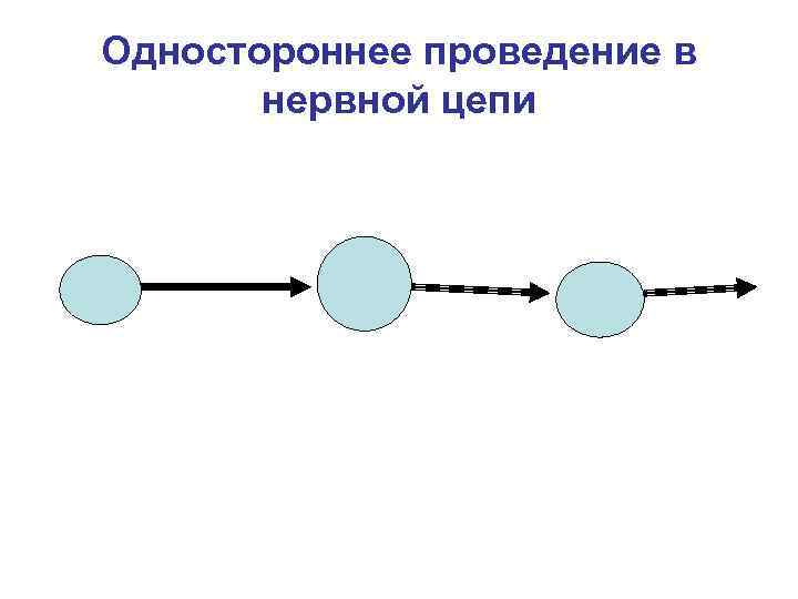 Одностороннее проведение в нервной цепи 