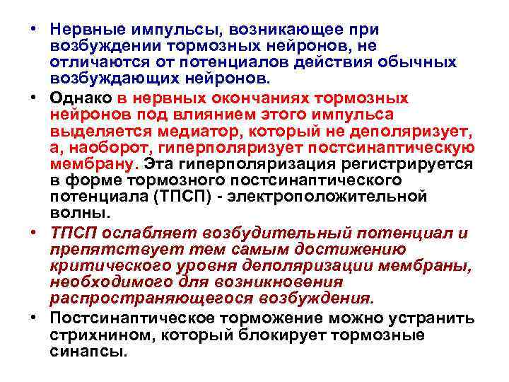  • Нервные импульсы, возникающее при возбуждении тормозных нейронов, не отличаются от потенциалов действия