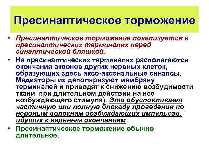 Пресинаптическое торможение • Пресинаптическое торможение локализуется в пресинаптических терминалях перед синаптической бляшкой. • На