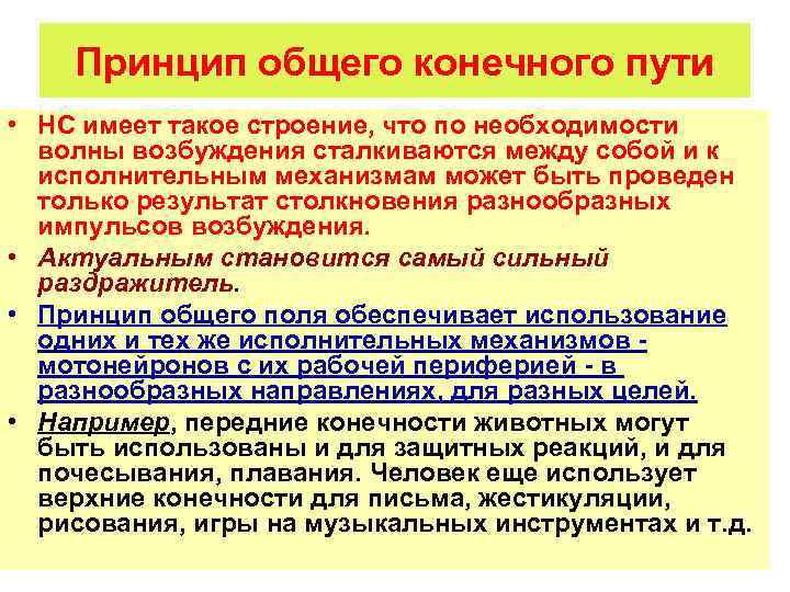 Принцип общего конечного пути • НС имеет такое строение, что по необходимости волны возбуждения