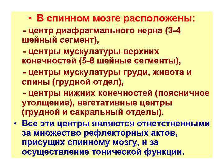  • В спинном мозге расположены: - центр диафрагмального нерва (3 -4 шейный сегмент),