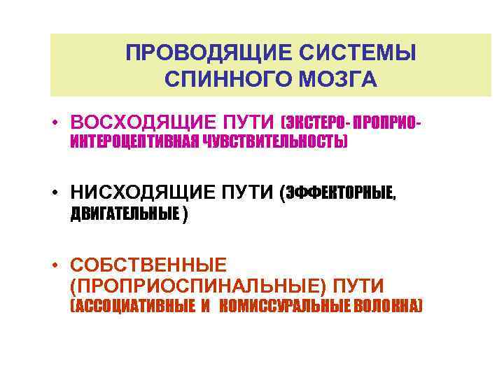 ПРОВОДЯЩИЕ СИСТЕМЫ СПИННОГО МОЗГА • ВОСХОДЯЩИЕ ПУТИ (ЭКСТЕРО- ПРОПРИОИНТЕРОЦЕПТИВНАЯ ЧУВСТВИТЕЛЬНОСТЬ) • НИСХОДЯЩИЕ ПУТИ (ЭФФЕКТОРНЫЕ,