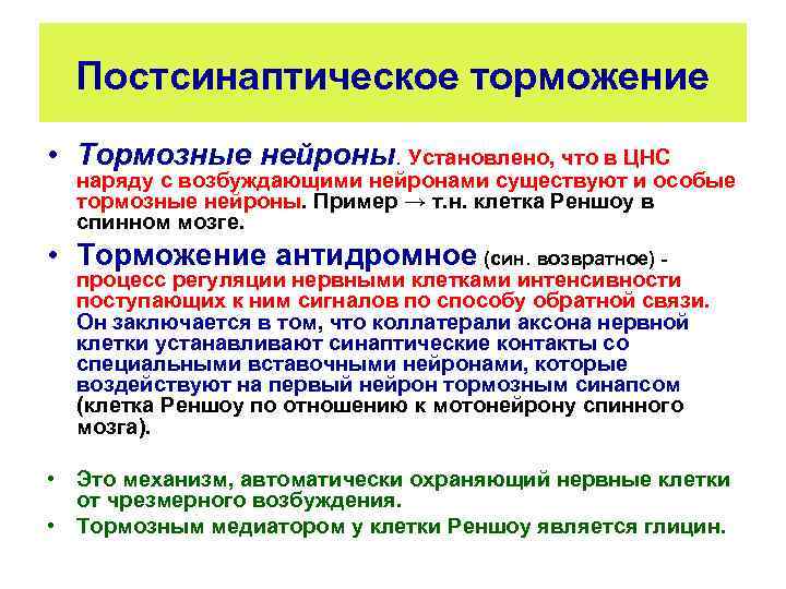 Постсинаптическое торможение • Тормозные нейроны. Установлено, что в ЦНС наряду с возбуждающими нейронами существуют