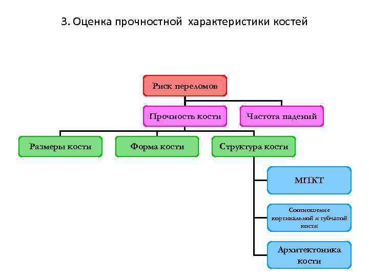 3. Оценка прочностной характеристики костей Риск переломов Прочность кости Размеры кости Форма кости Частота