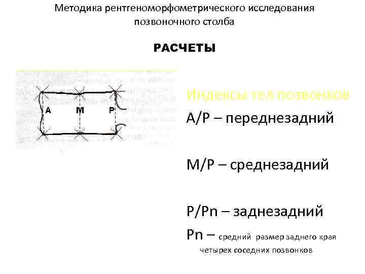 Методика рентгеноморфометрического исследования позвоночного столба РАСЧЕТЫ Индексы тел позвонков А/Р – переднезадний М/Р –