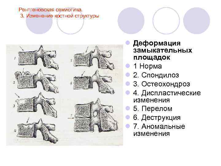 Виды способы методы методики лучевая анатомия семиотика