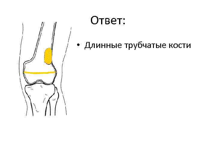 Рено кортикальный индекс