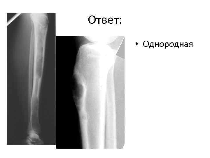 Ответ: • Однородная 