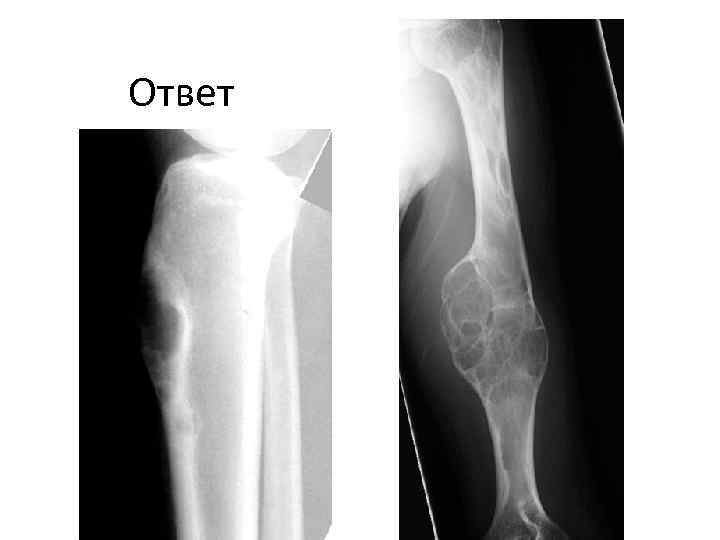 Ответ 