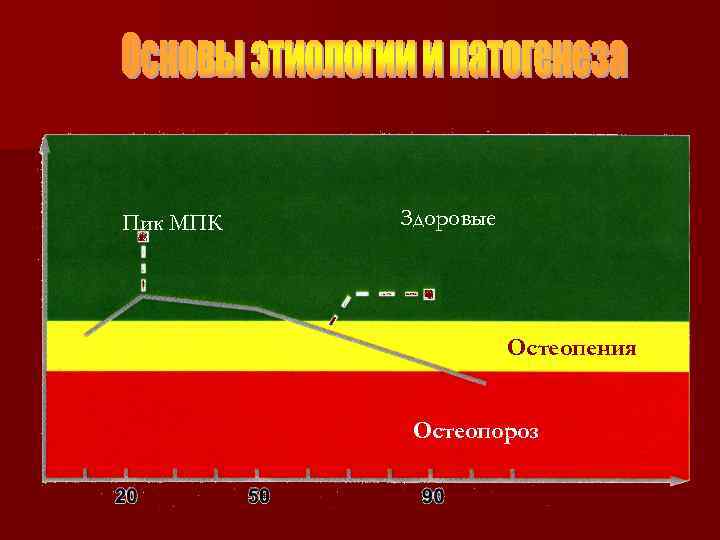 Пик МПК Здоровые Остеопения Остеопороз 