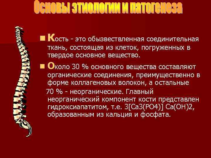 n Кость - это обызвествленная соединительная ткань, состоящая из клеток, погруженных в твердое основное