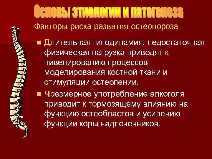 Факторы риска развития остеопороза Длительная гиподинамия, недостаточная физическая нагрузка приводят к нивелированию процессов моделирования