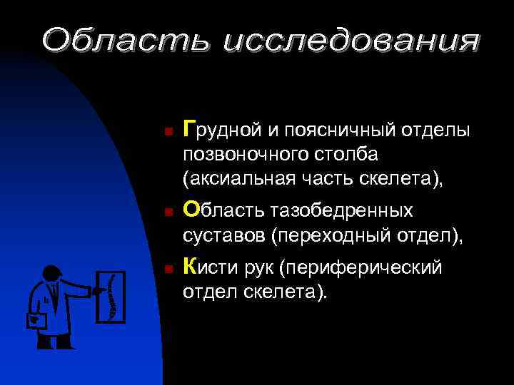 n Грудной и поясничный отделы позвоночного столба (аксиальная часть скелета), n Область тазобедренных суставов