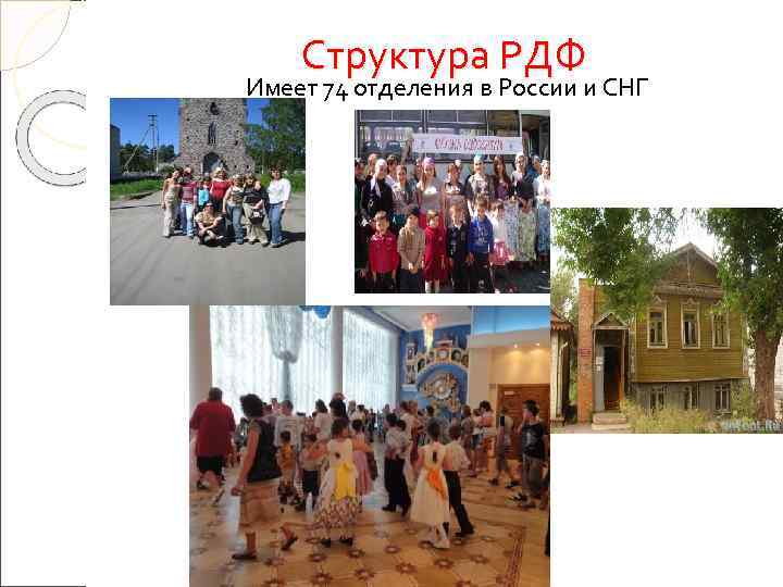   Структура РДФ Имеет 74 отделения в России и СНГ 