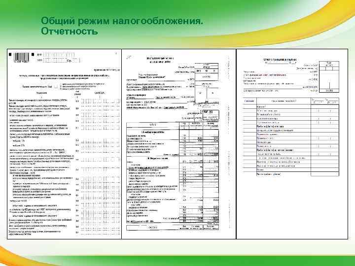 Общий режим налогообложения.  Отчетность 