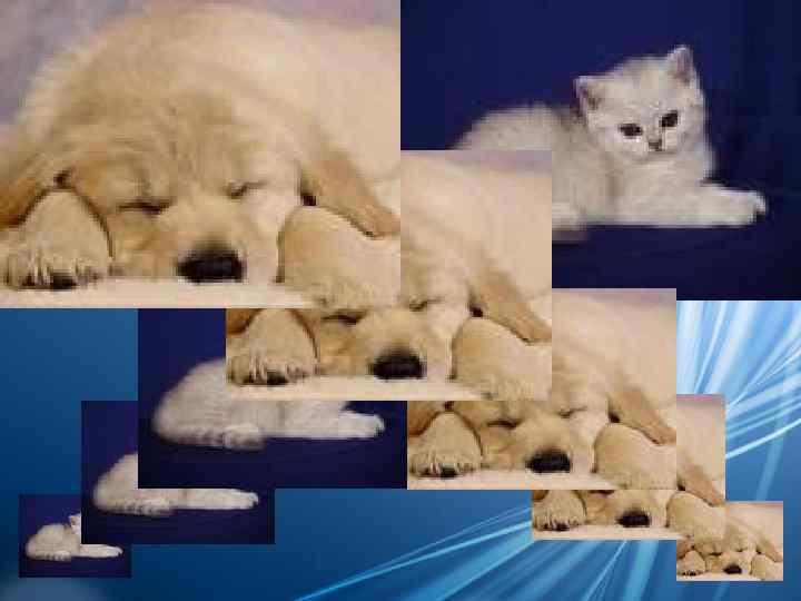 Основной недостаток  растровой графики: увеличение изображения  приводит к эффекту пикселизации 