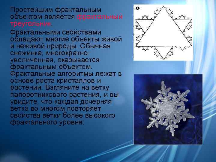 Простейшим фрактальным объектом является фрактальный треугольник. Фрактальными свойствами обладают многие объекты живой и неживой