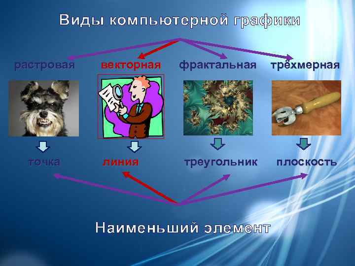  Виды компьютерной графики  растровая  векторная  фрактальная  трёхмерная  точка