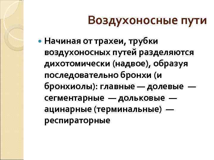 Воздухоносные пути Начиная от трахеи, трубки воздухоносных путей разделяются Воздухоносные пути Начиная от трахеи, трубки воздухоносных путей разделяются