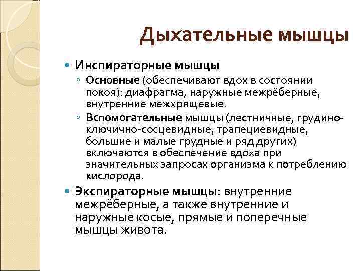 Дыхательные мышцы. Инспираторные мышцы основные и вспомогательные. Инспираторные дыхательные мышцы. Основные и вспомогательные дыхательные мышцы. Дыхательные мышцы исспирраторные.