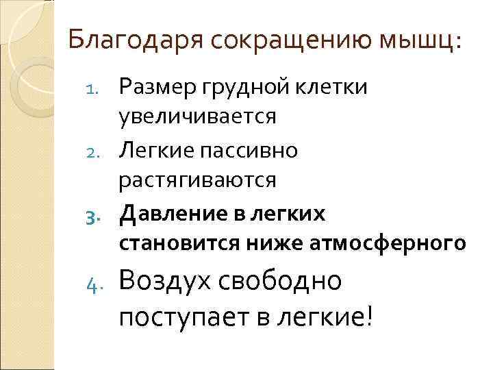 Благодаря сокращению мышц: 1. Размер грудной клетки увеличивается 2. Легкие пассивно растягиваются 3. Благодаря сокращению мышц: 1. Размер грудной клетки увеличивается 2. Легкие пассивно растягиваются 3.