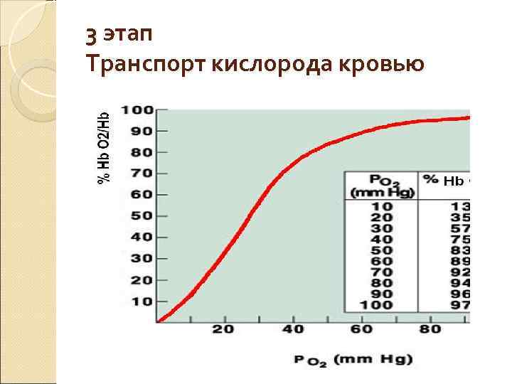 3 этап Транспорт кислорода кровью 3 этап Транспорт кислорода кровью
