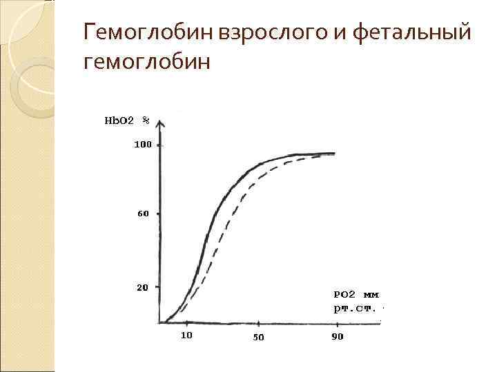 Гемоглобин взрослого и фетальный гемоглобин Гемоглобин взрослого и фетальный гемоглобин
