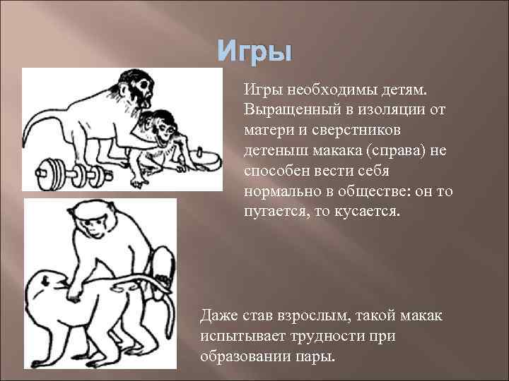  Игры необходимы детям.  Выращенный в изоляции от матери и сверстников детеныш макака